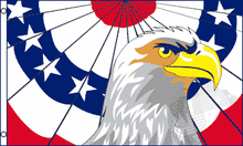 Large 3'x5' Flag for RV, UTV, Sandrail - Patriotic Eagle