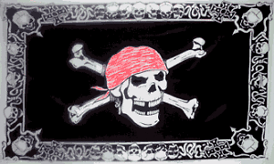 Large 3'x5' UTV, Sandrail, RV Polyester Flag - Skull Flag with Border